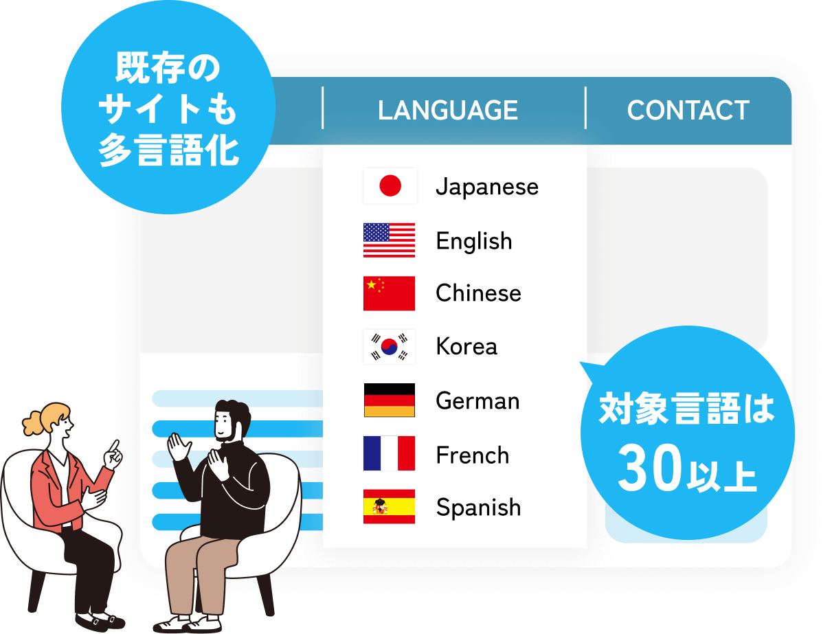 Website Translation